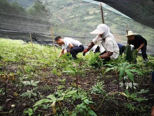 &#20061;&#28216;&#23448;&#26041;&#32593;&#39029;&#29256;&#45;&#20061;&#28216;&#40;&#20013;&#22269;&#41;